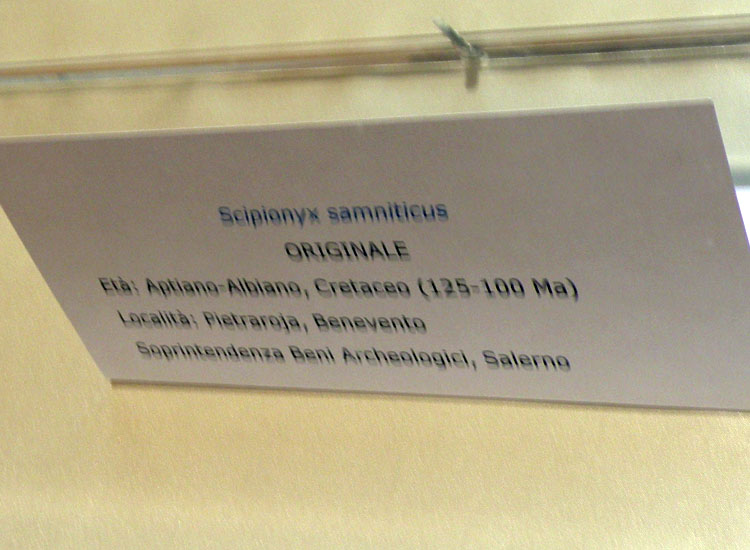 A Bologna c'' anche Ciro